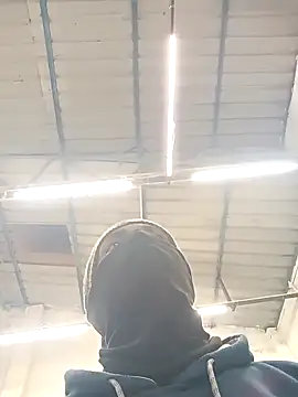 Bengali BULL1 online show from February 7, 8:56 pm