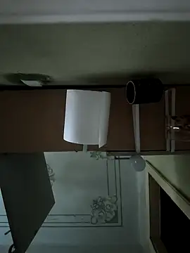 Snapshot of Dimka132 chatting on January 18, 9:24 am Dimka132 online show from January 18, 9:24 am