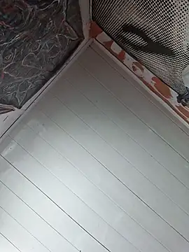 Toycockhot online show from March 6, 6:05 pm