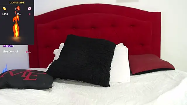 Rouss Meyers online show from February 25, 7:36 pm