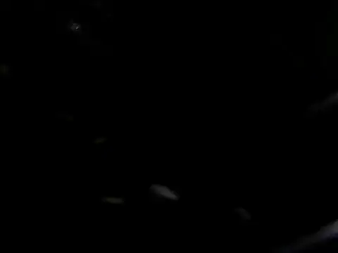 Snapshot of giga-bite chatting on October 10, 3:44 pm giga-bite online show from October 10, 3:44 pm