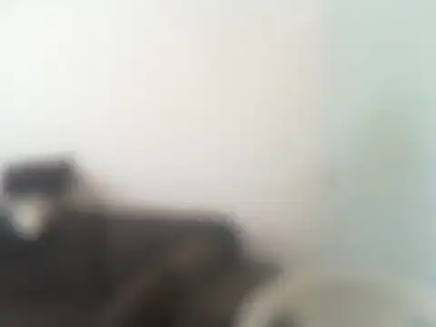 Snapshot of ConradinhoBR50 chatting on April 19, 2:27 pm ConradinhoBR50 online show from April 19, 2:27 pm