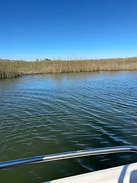 Snapshot of Goonwithoutclinching chatting on January 10, 9:16 pm Goonwithoutclinching online show from January 10, 9:16 pm