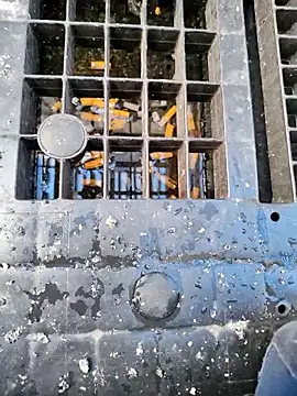 Ethangay online show from March 31, 6:47 am