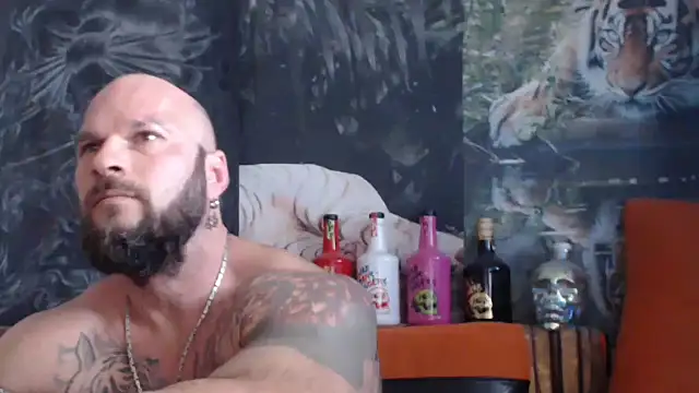 viking 30 online show from September 17, 10:17 am