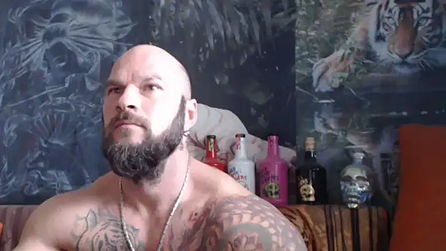 viking 30 online show from October 2, 9:27 am