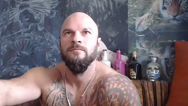 viking 30 online show from October 13, 7:08 am