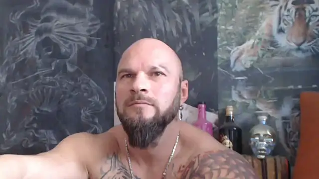 viking 30 online show from November 6, 8:15 am