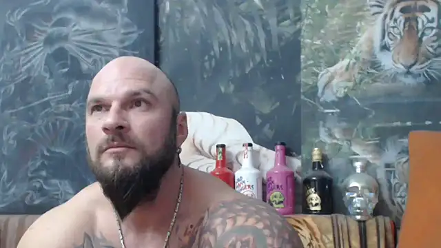 viking 30 online show from November 22, 6:51 pm