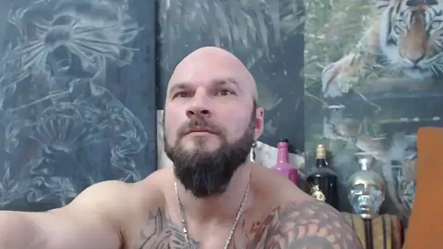 viking 30 online show from November 28, 7:33 am