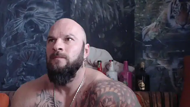 viking 30 online show from November 30, 10:52 am