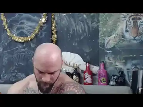 viking 30 online show from February 15, 7:51 am