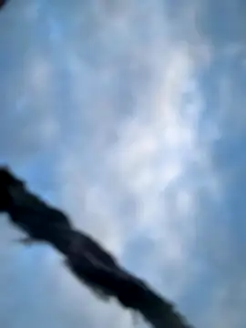 Model9798 online show from October 22, 2:28 pm