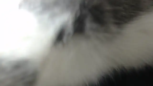 prettyangelsquirt online show from April 8, 11:27 pm