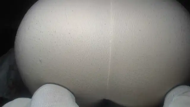 Snapshot of prettyangelsquirt chatting on July 14, 2:49 am prettyangelsquirt online show from July 14, 2:49 am