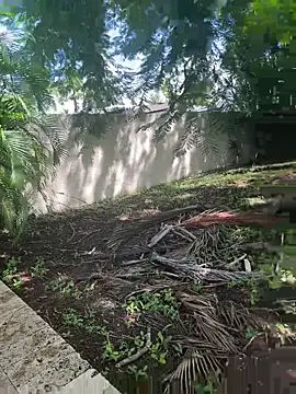 JohnnyBigShot online show from September 28, 3:50 pm