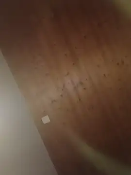 Snapshot of Kw8585kw chatting on March 1, 8:22 pm Kw8585kw online show from March 1, 8:22 pm