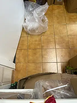 Mindnorthcam2 online show from February 16, 7:48 am