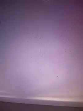 6lue6a6y69 online show from November 1, 5:20 am