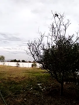 Chacal Armyy online show from March 9, 11:20 pm