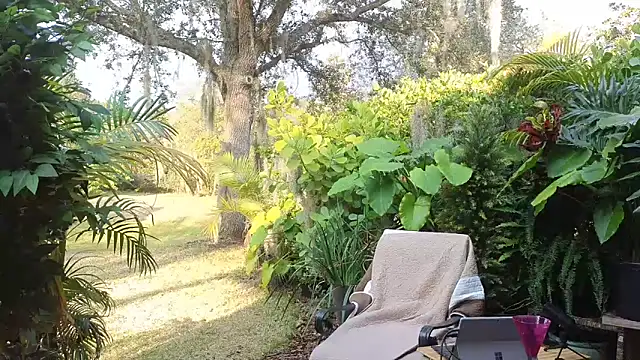 Snapshot of eliberator1777 chatting on January 31, 9:37 pm eliberator1777 online show from January 31, 9:37 pm