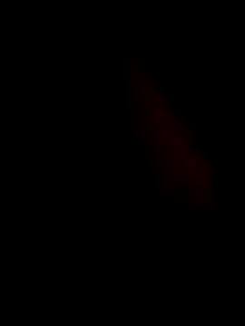 guilherme205 online show from February 7, 2:43 pm