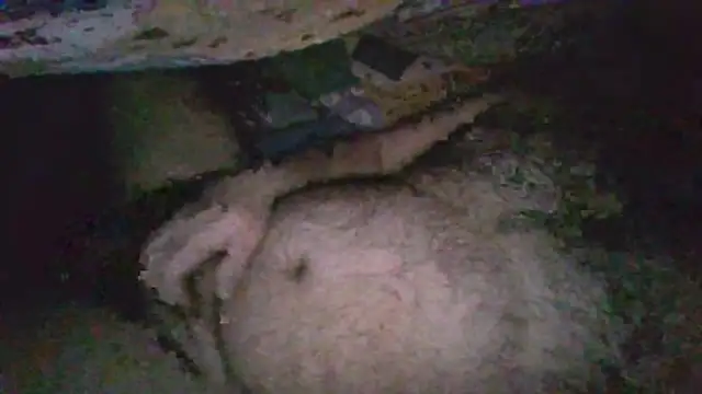 gerilom8787 online show from February 4, 2:45 pm