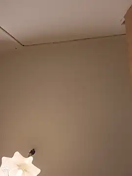 Snapshot of FireFox_Feel chatting on December 6, 9:24 pm FireFox Feel online show from December 6, 9:24 pm