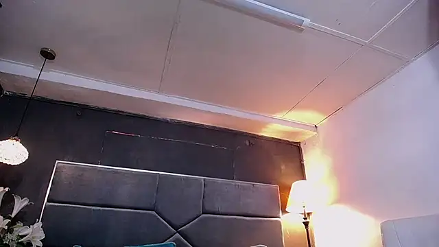 teddyfit19cm online show from January 12, 12:54 pm