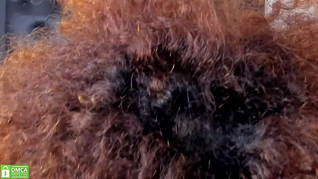 Snapshot of Alika_Shanty chatting on March 20, 5:51 pm Alika Shanty online show from March 20, 5:51 pm