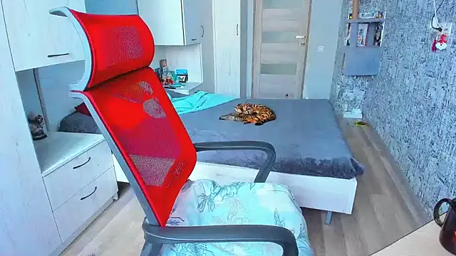 DUSSY PUSSY online show from February 11, 4:22 am