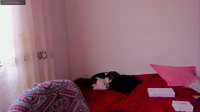 Snapshot of aluna_0310 chatting on December 9, 6:46 pm aluna 0310 online show from December 9, 6:46 pm