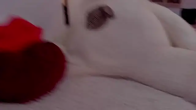 aryahunt1 online show from February 12, 1:37 pm