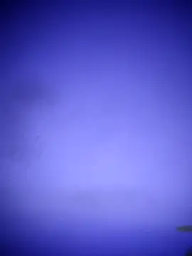 waspy online show from March 8, 2:55 am