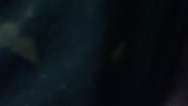 Billywax online show from February 2, 9:30 am