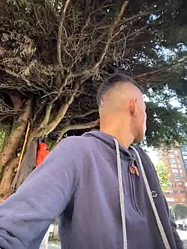 Snapshot of yequeal chatting on December 3, 3:11 pm yequeal online show from December 3, 3:11 pm