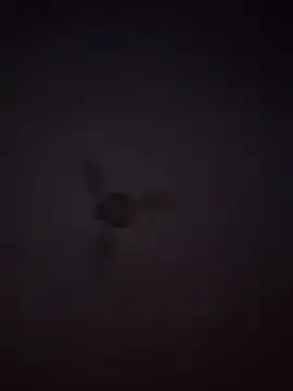 Snapshot of 1Aleks13 chatting on November 25, 10:54 pm 1Aleks13 online show from November 25, 10:54 pm