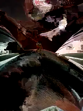 Snapshot of FinableKnee chatting on November 17, 3:56 am FinableKnee online show from November 17, 3:56 am