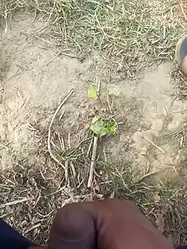 Snapshot of FinableKnee chatting on November 29, 10:07 am FinableKnee online show from November 29, 10:07 am