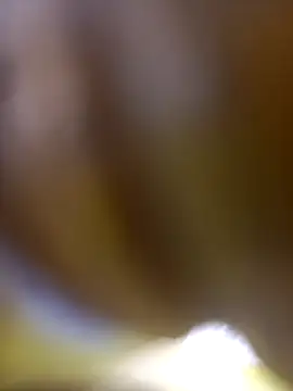 Snapshot of FinableKnee chatting on January 6, 10:08 am FinableKnee online show from January 6, 10:08 am