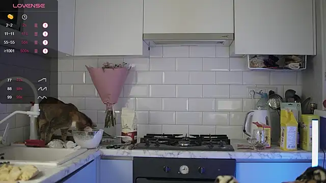 melanielwithu online show from December 13, 9:41 pm