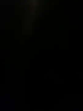 Furdale online show from December 9, 5:52 pm