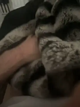 Furdale online show from December 17, 12:43 pm