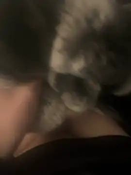 Furdale online show from December 17, 4:00 pm