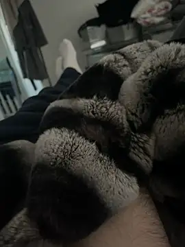 Furdale online show from December 18, 3:00 pm