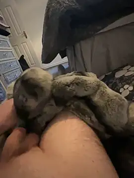 Furdale online show from January 1, 3:46 pm