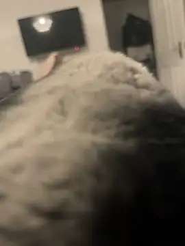 Furdale online show from January 13, 4:08 pm