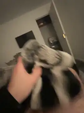 Furdale online show from January 17, 5:19 pm