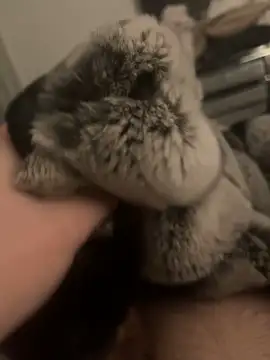 Furdale online show from January 24, 6:04 pm