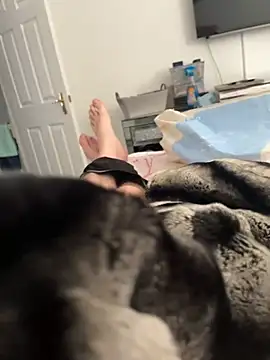 Furdale online show from February 6, 3:09 pm